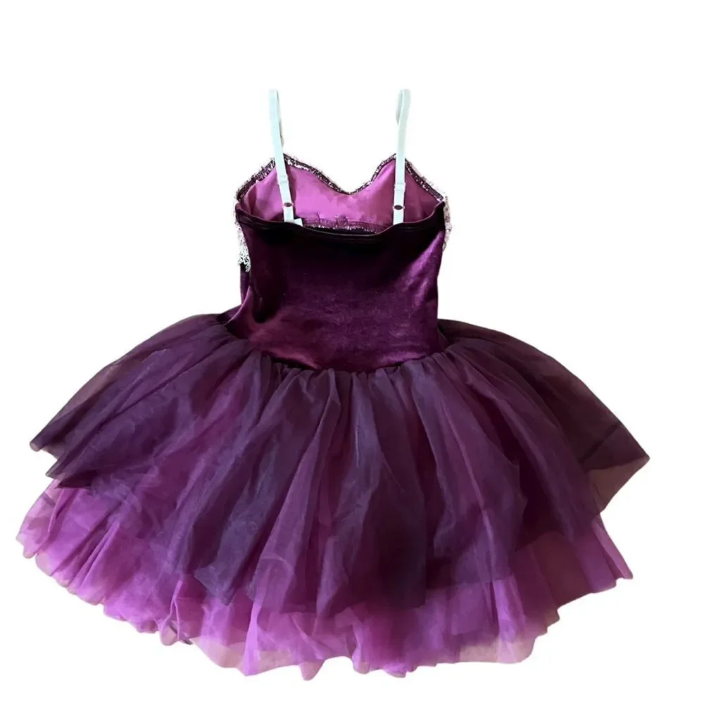 Curtain Call Velvet Tulle Fairy Costume Dress